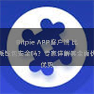 Bitpie APP客户端 比特派钱包安全吗？专家详解其全面优势