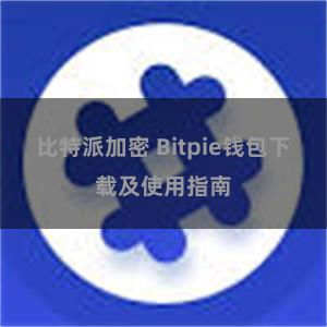 比特派加密 Bitpie钱包下载及使用指南