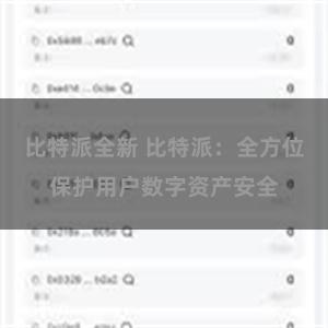 比特派全新 比特派：全方位保护用户数字资产安全