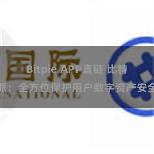 Bitpie APP直链 比特派：全方位保护用户数字资产安全