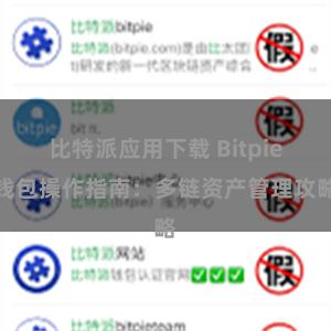 比特派应用下载 Bitpie钱包操作指南：多链资产管理攻略