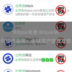 Bitpie免费 Bitpie钱包操作指南：多链资产管理攻略