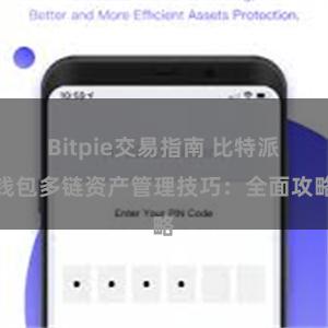 Bitpie交易指南 比特派钱包多链资产管理技巧：全面攻略