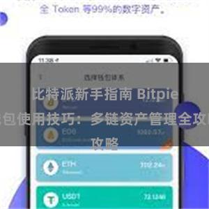 比特派新手指南 Bitpie钱包使用技巧：多链资产管理全攻略