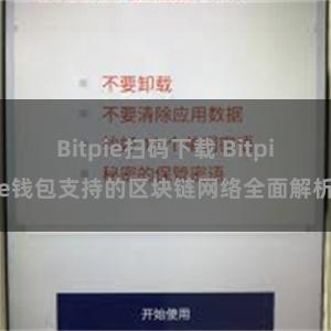 Bitpie扫码下载 Bitpie钱包支持的区块链网络全面解析