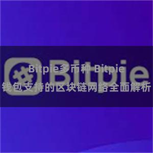 Bitpie多币种 Bitpie钱包支持的区块链网络全面解析