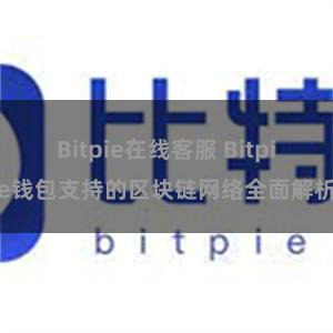 Bitpie在线客服 Bitpie钱包支持的区块链网络全面解析