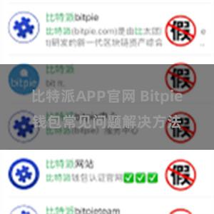 比特派APP官网 Bitpie钱包常见问题解决方法