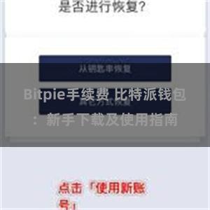 Bitpie手续费 比特派钱包：新手下载及使用指南