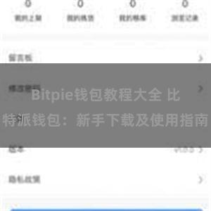 Bitpie钱包教程大全 比特派钱包：新手下载及使用指南