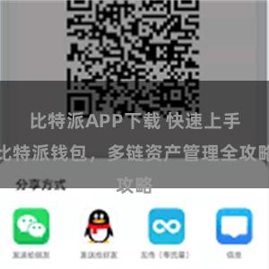 比特派APP下载 快速上手比特派钱包，多链资产管理全攻略