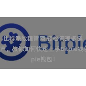 比特派教程官网 轻松管理多链资产，教你如何快速上手Bitpie钱包！