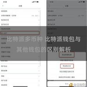 比特派多币种 比特派钱包与其他钱包的区别解析