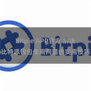 Bitpie APP官方 解决比特派钱包使用问题的实用技巧