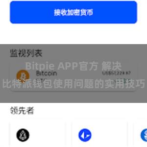 Bitpie APP官方 解决比特派钱包使用问题的实用技巧