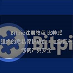 Bitpie注册教程 比特派钱包：强大的隐私保护功能，让您资产更安全