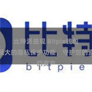 比特派提现 Bitpie钱包：强大的隐私保护功能，守护您的资产