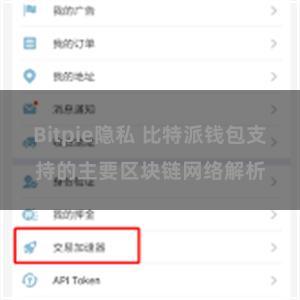Bitpie隐私 比特派钱包支持的主要区块链网络解析
