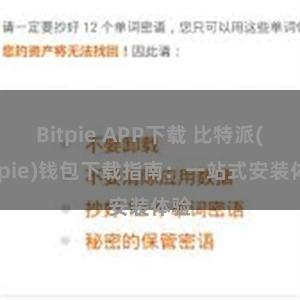 Bitpie APP下载 比特派(Bitpie)钱包下载指南：一站式安装体验