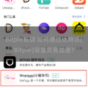 Bitpie私钥 如何通过比特派(Bitpie)设置交易加速？