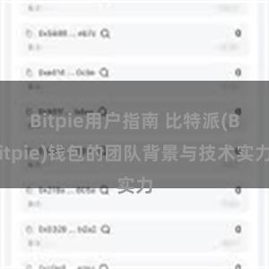 Bitpie用户指南 比特派(Bitpie)钱包的团队背景与技术实力