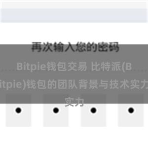 Bitpie钱包交易 比特派(Bitpie)钱包的团队背景与技术实力