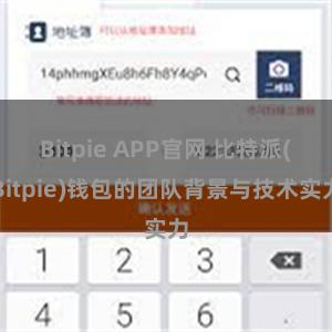 Bitpie APP官网 比特派(Bitpie)钱包的团队背景与技术实力