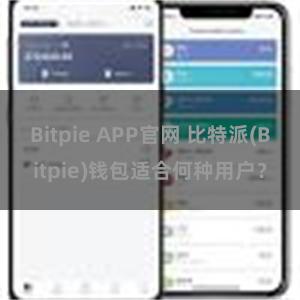 Bitpie APP官网 比特派(Bitpie)钱包适合何种用户？