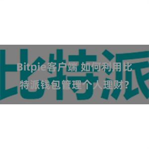 Bitpie客户端 如何利用比特派钱包管理个人理财？