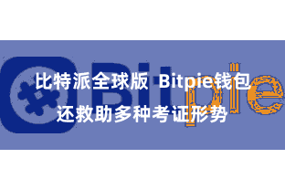 比特派全球版  Bitpie钱包还救助多种考证形势